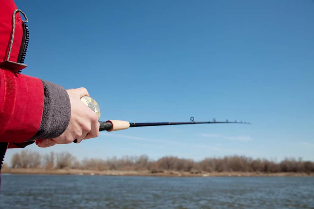 Knowing how to catch redfish means looking in shallow waters. 