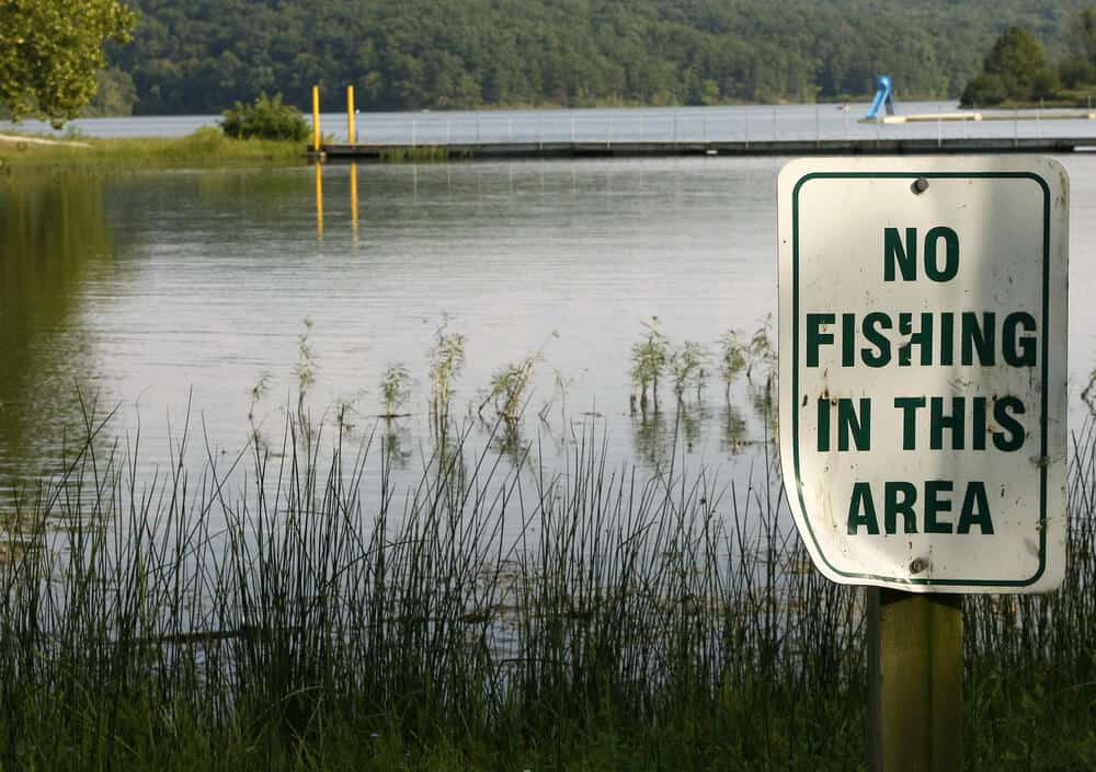 What are the penalties for violating fishing laws in texas?