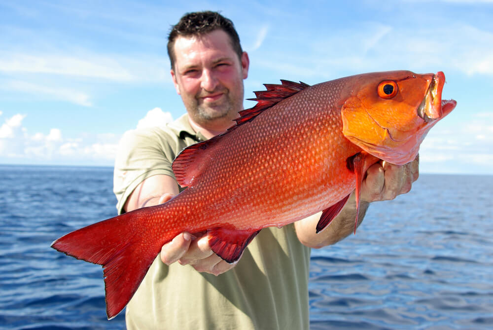 best fishing spots for red snapper in corpus christi tx